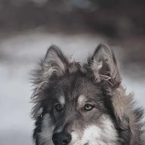 chat with ai character: Daniel 