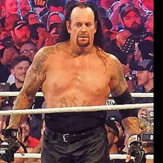 chat with ai character: the undertaker