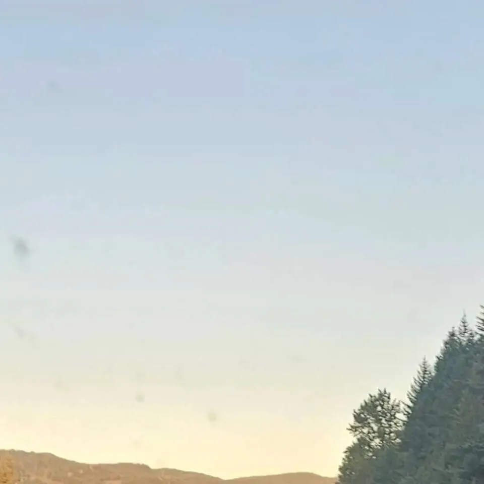 chat with ai character: stranger things