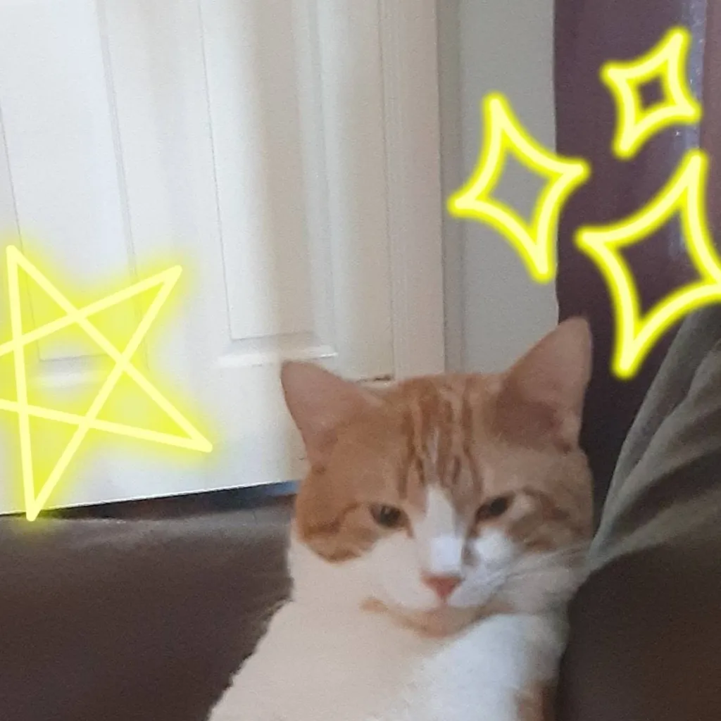 chat with ai character: ~!create ur own!~