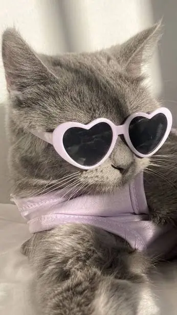 ai character: Anything background