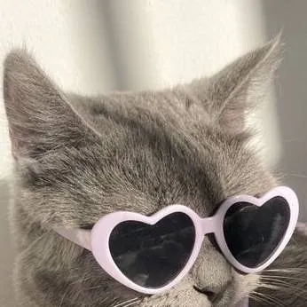 chat with ai character: Anything