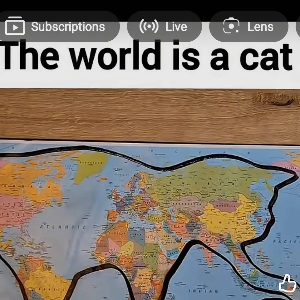 chat with ai character: World cat