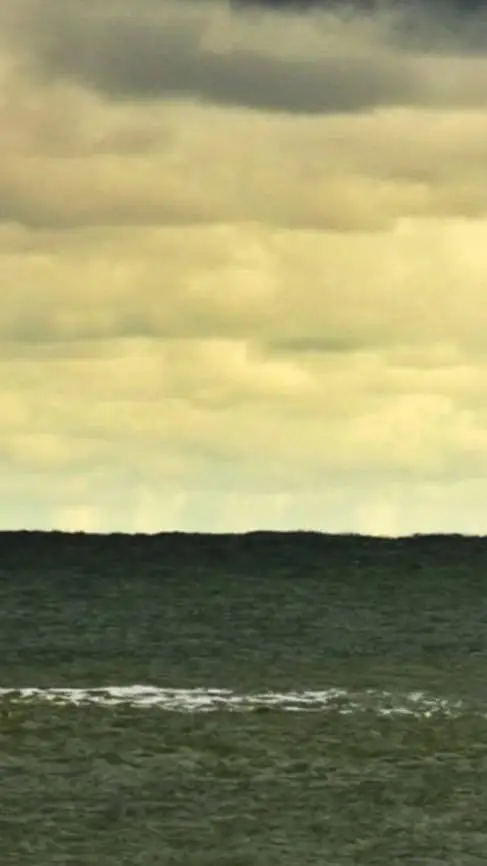 ai character: BTS background