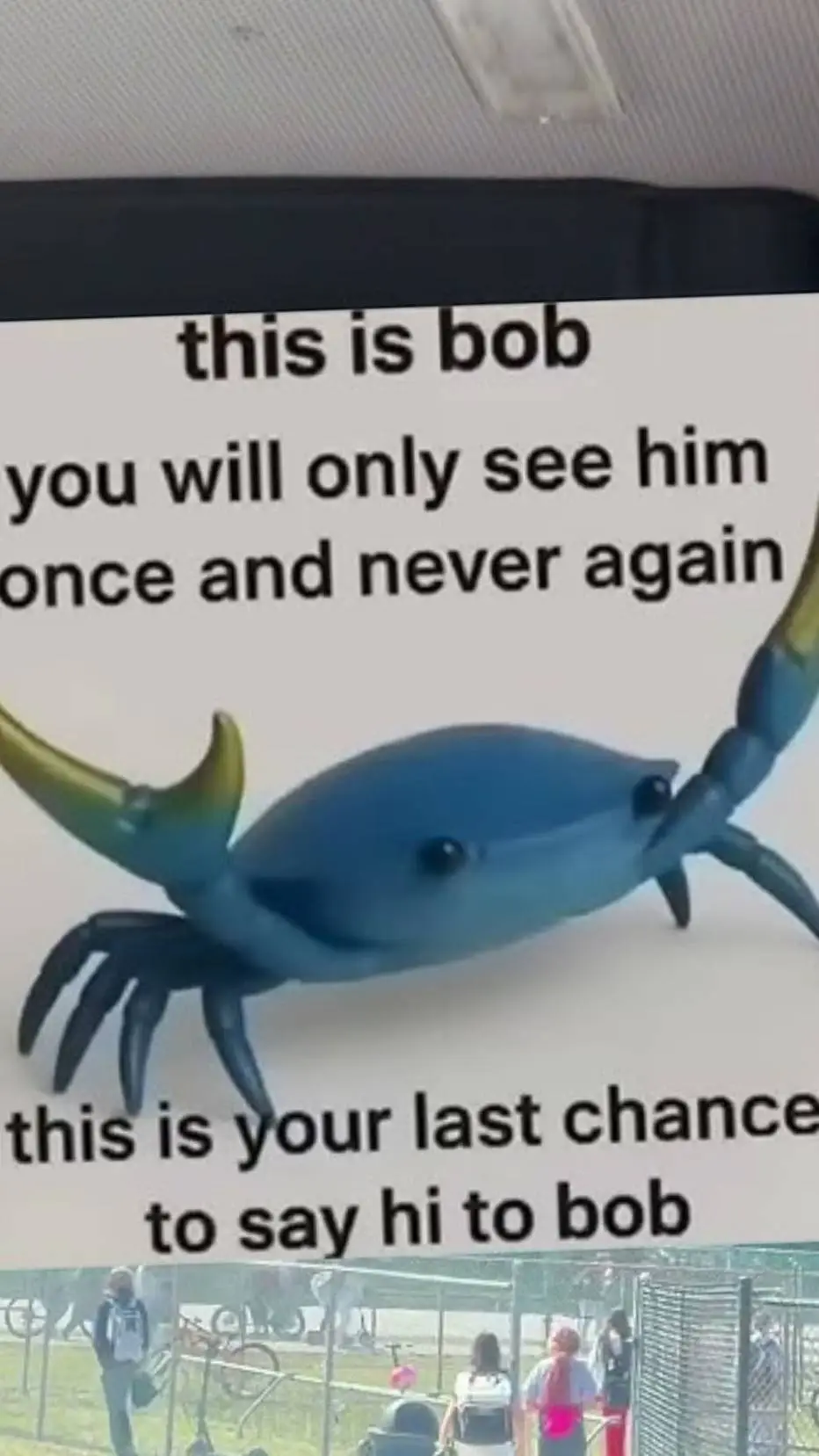 ai character: BobTheCrabbycrab background
