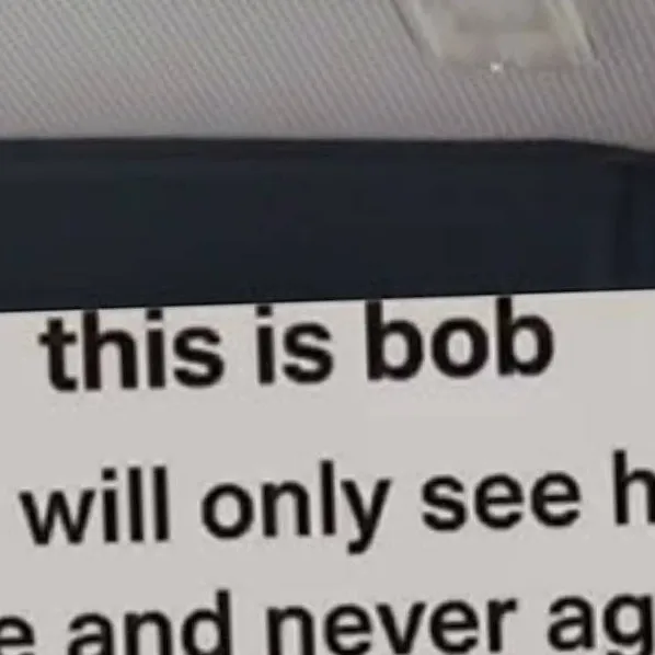chat with ai character: BobTheCrabbycrab