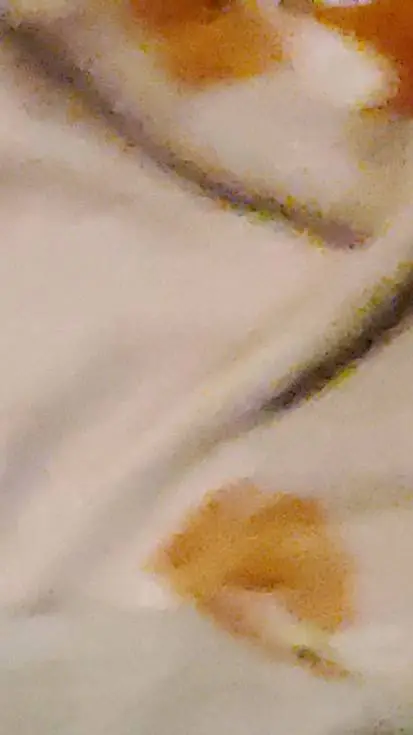 ai character: Hazbin hotel background