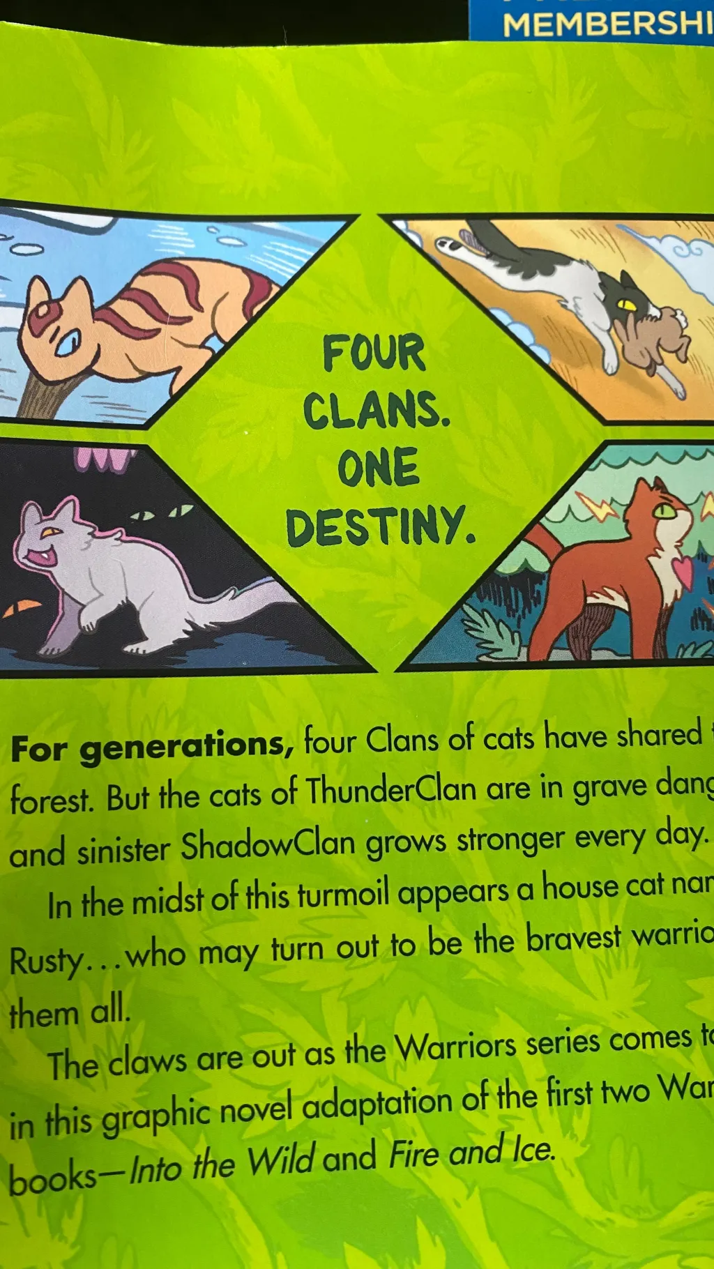 ai character: --!ThunderClan!-- background