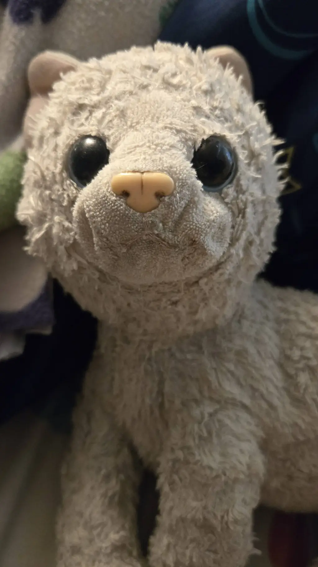 ai character: Kitty background