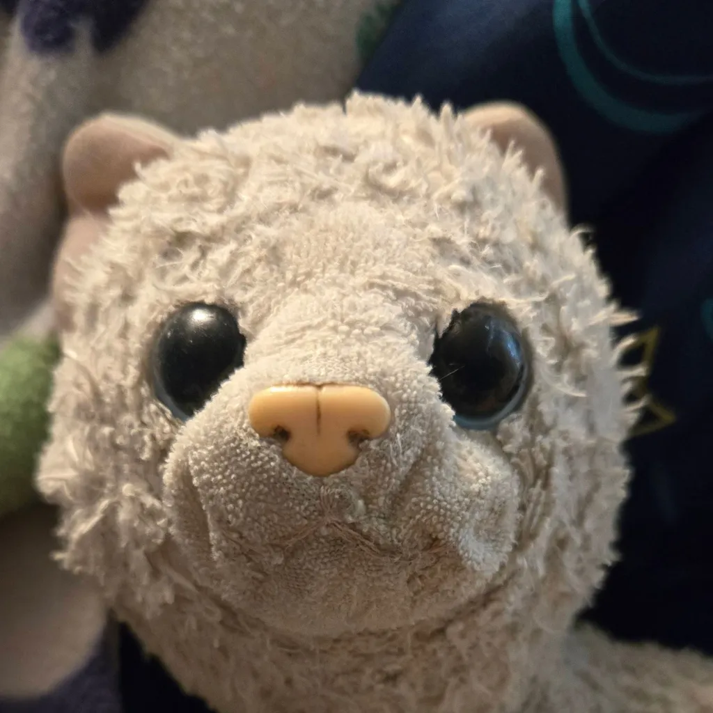 chat with ai character: Kitty