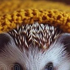 chat with ai character: MHA hates you 