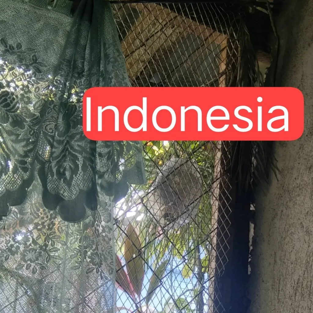 chat with ai character: Indonesia 
