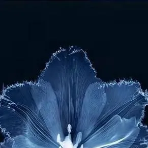 chat with ai character: DEMON FAMILY