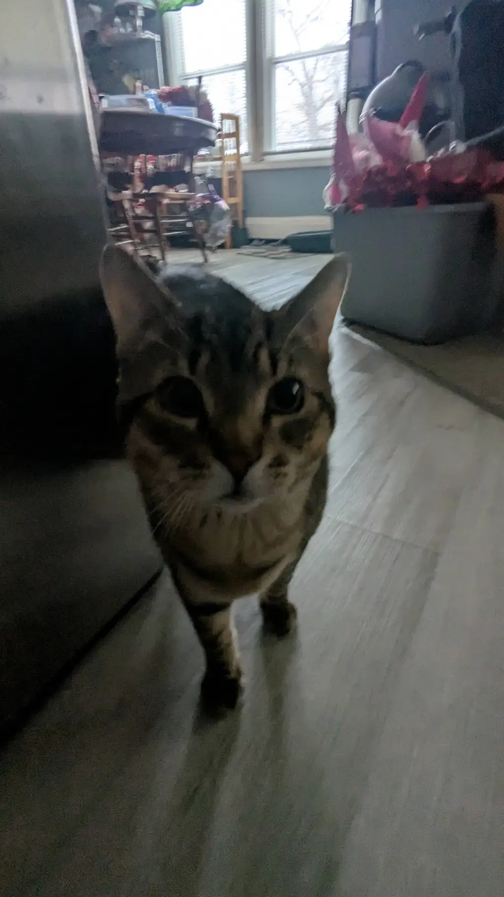 ai character: chaos background