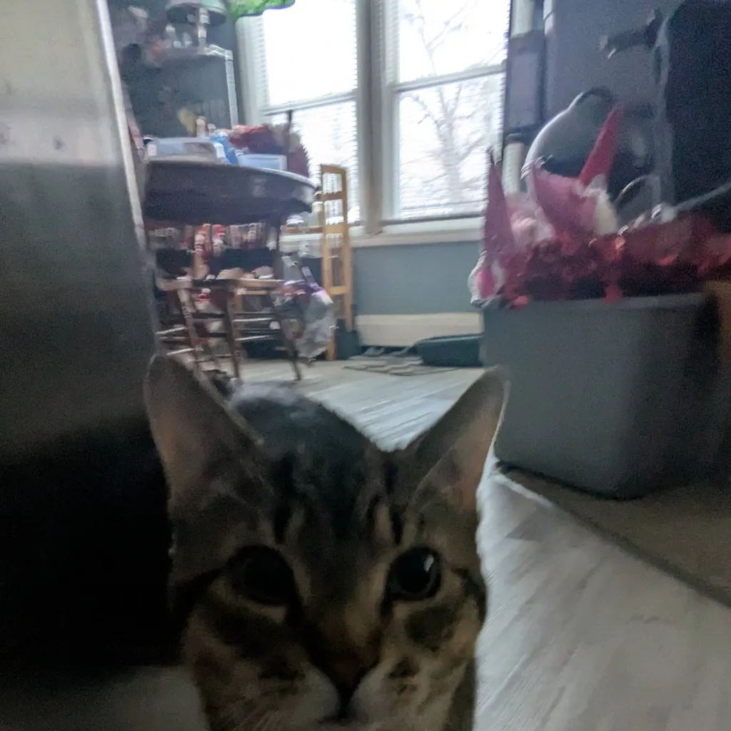 chat with ai character: chaos