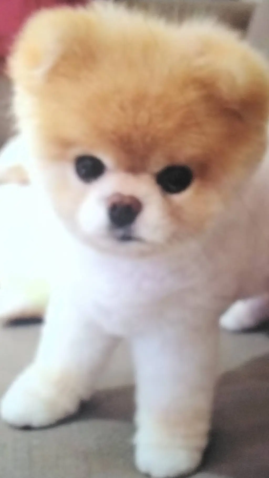 Talkie AI - Chat with boo