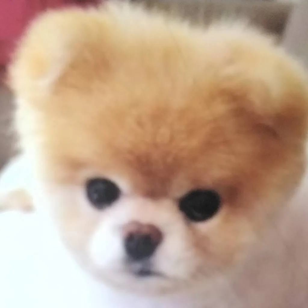 chat with ai character: boo