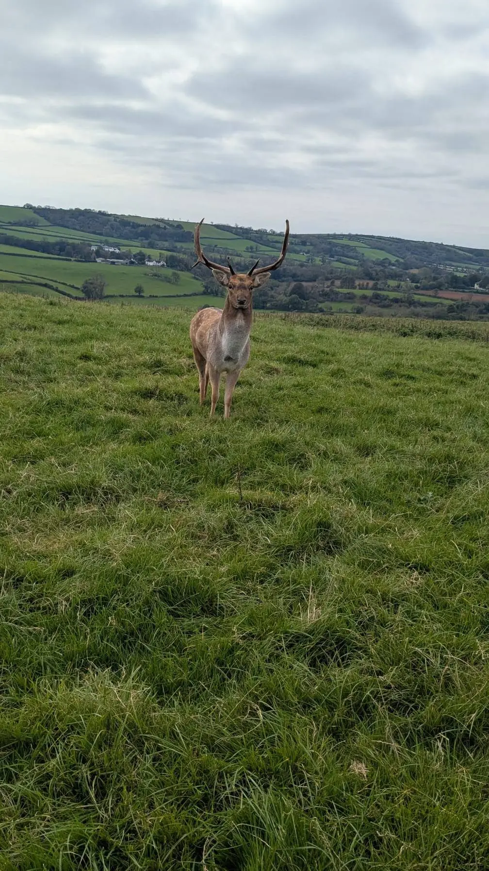 ai character: Pjo Road trip background