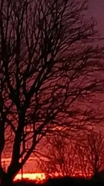 ai character: Micah and zeyn background