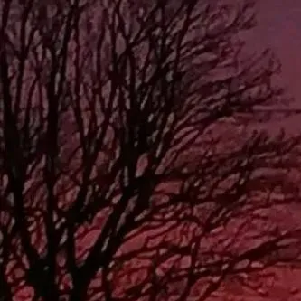 chat with ai character: Micah and zeyn