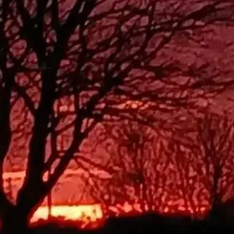 chat with ai character: Micah and zeyn