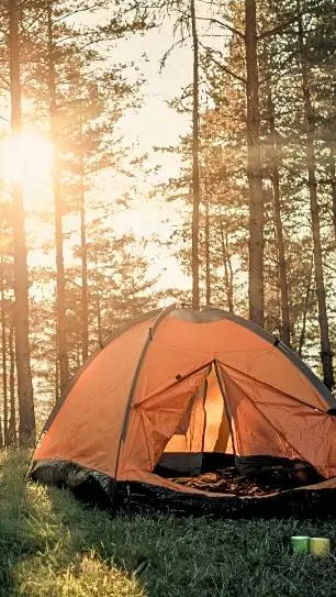 ai character: Naruto Camping background
