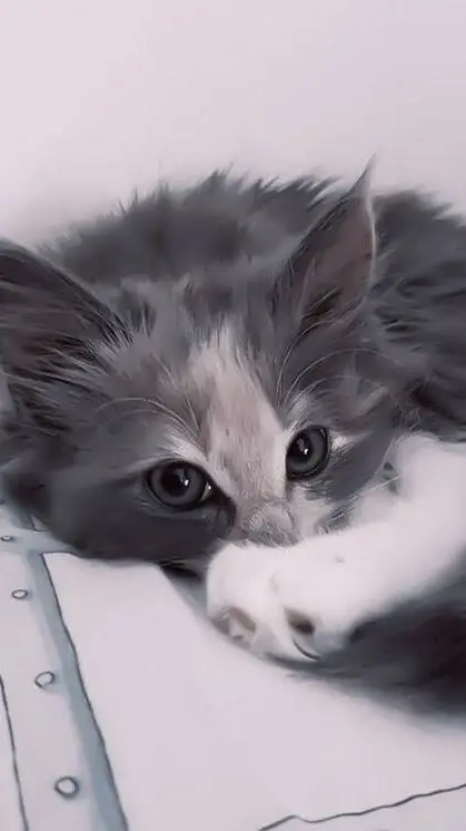 ai character: cat background