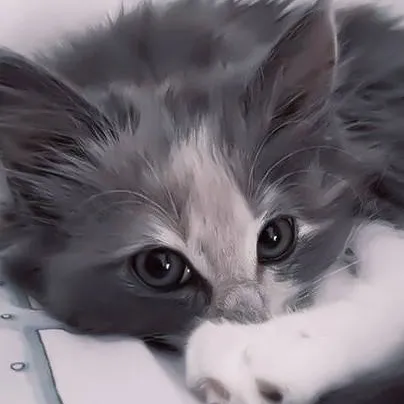 chat with ai character: cat