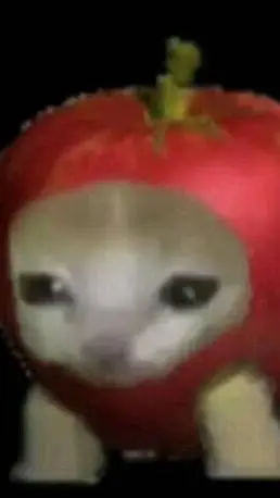 ai character: gato..manzana background