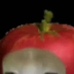 chat with ai character: gato..manzana