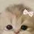 chat with ai character: Cats