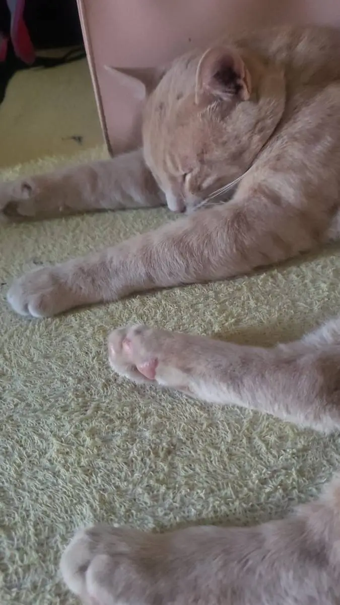 ai character: ★Erick★ background