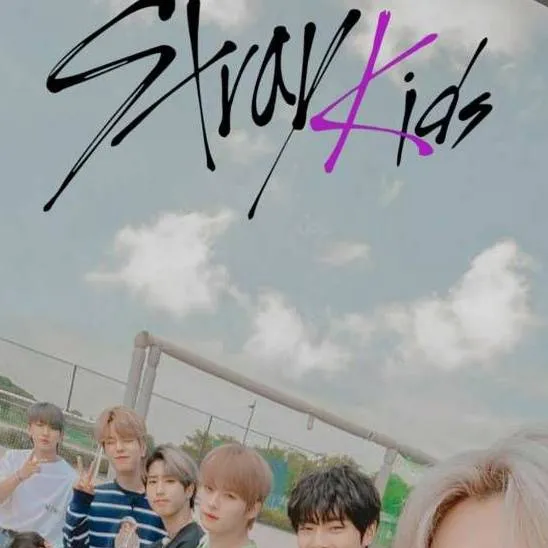 chat with ai character: stray kids