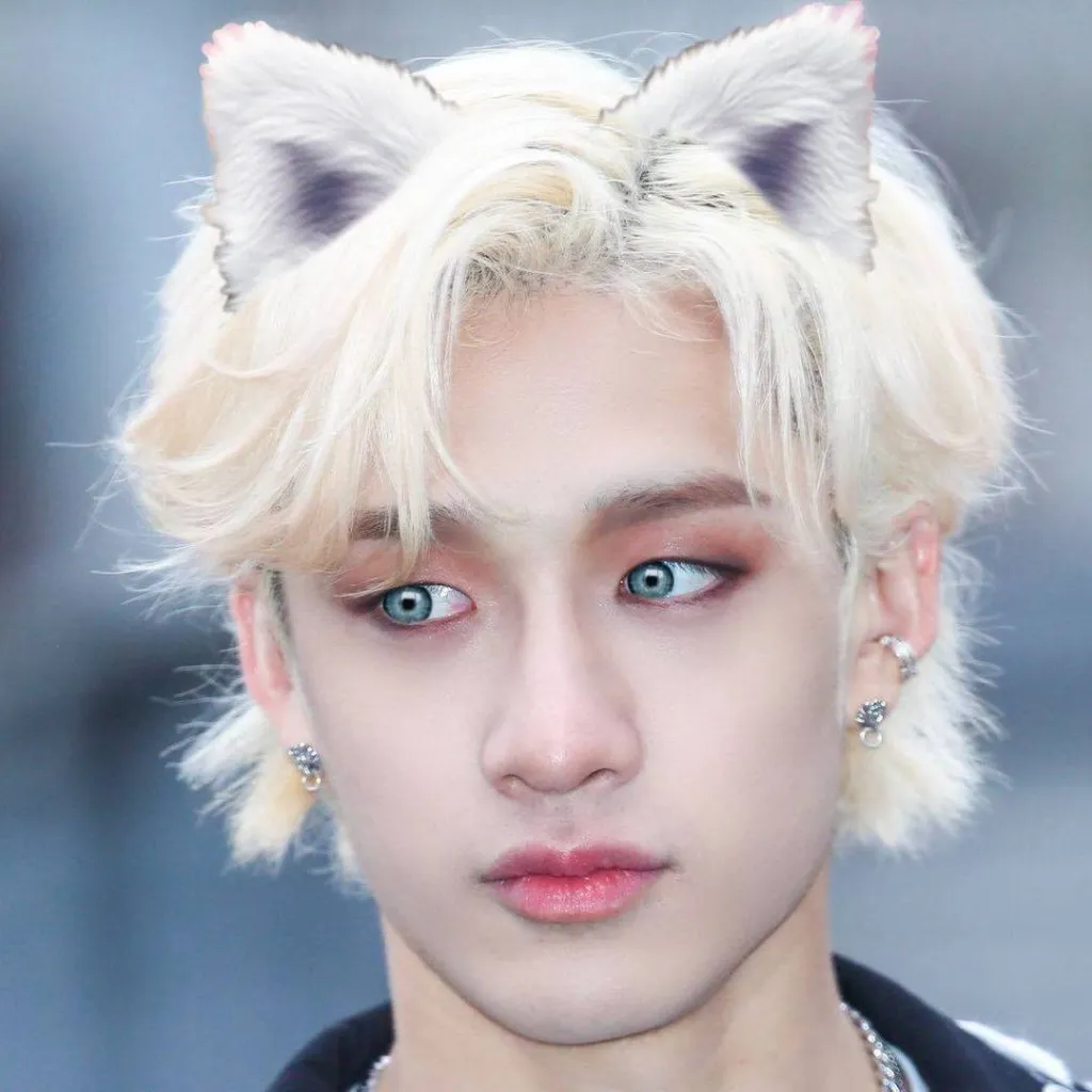 chat with ai character: stray kids