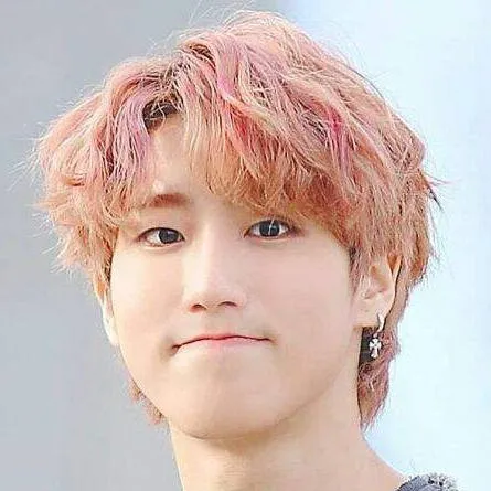 chat with ai character: stray kids