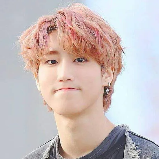 chat with ai character: stray kids