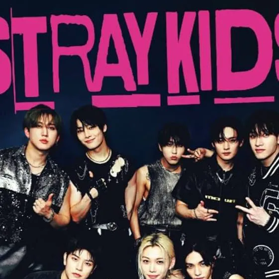 chat with ai character: stray kids