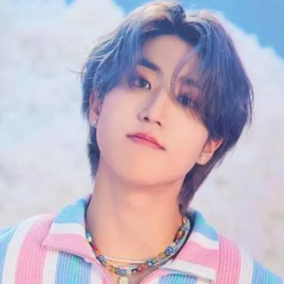 chat with ai character: skz meet and greet