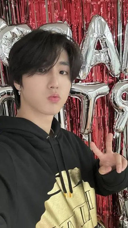 ai character: stray kids background