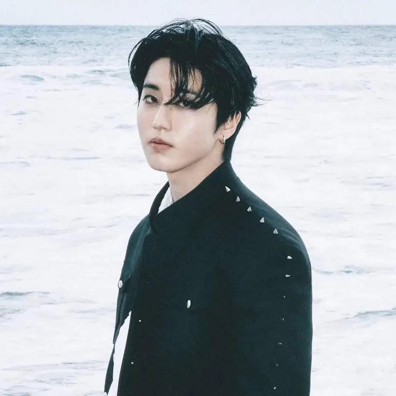 chat with ai character: stray kids