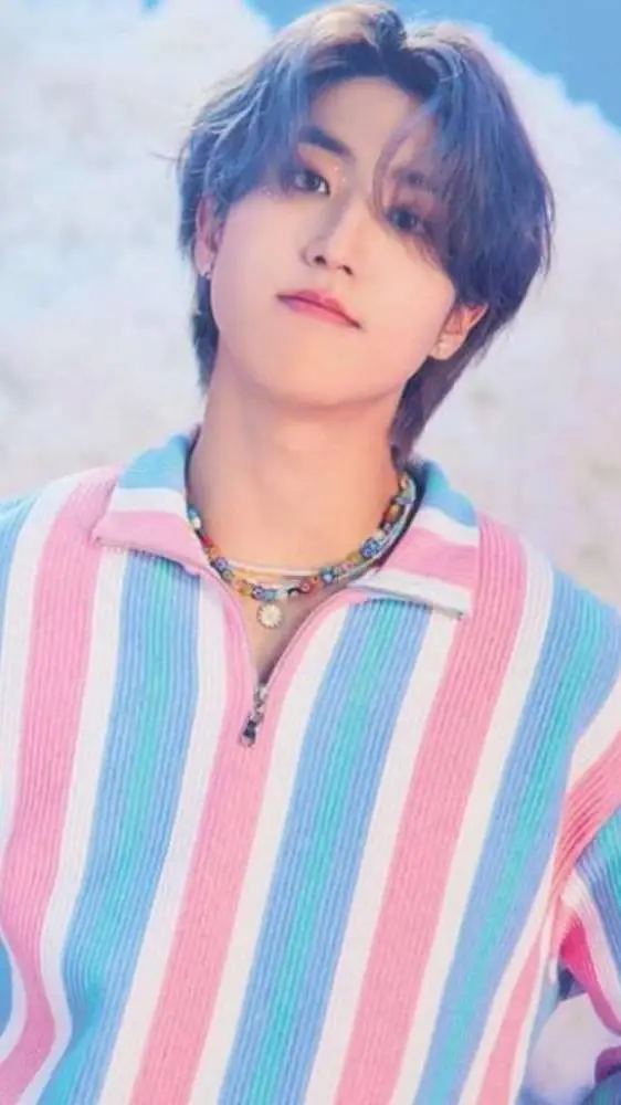 ai character: stray kids  background