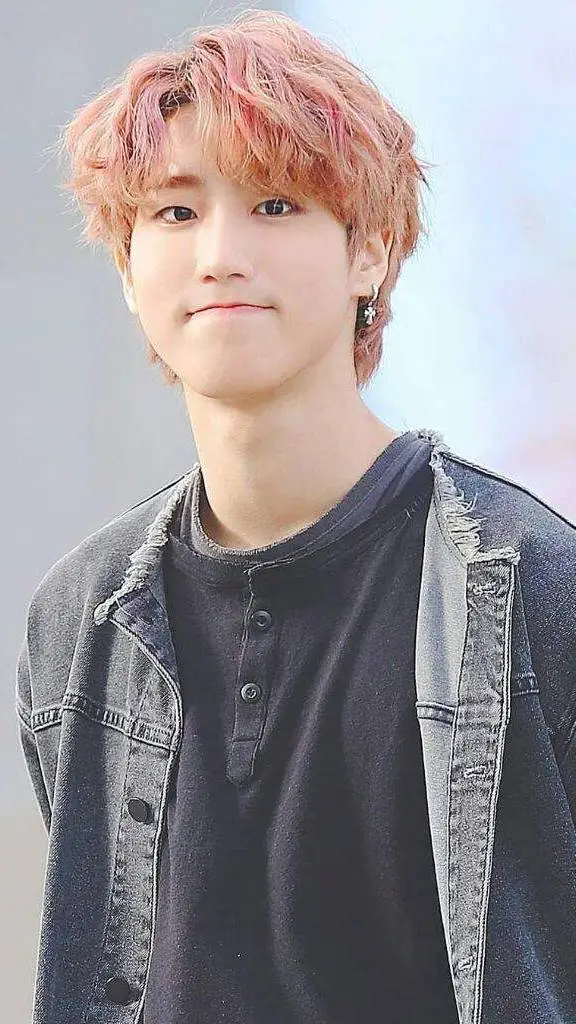 ai character: stray kids pick me background