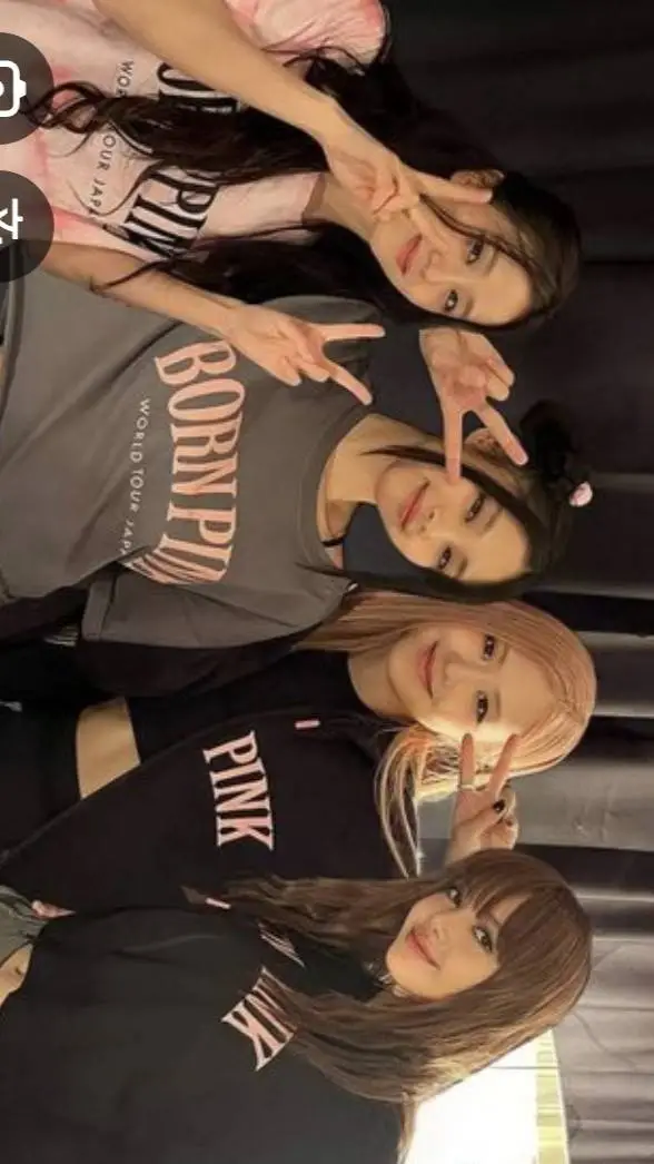 ai character: BLACKPINK background