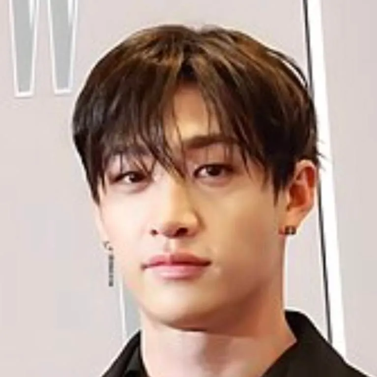 chat with ai character: 🐺 Bangchan 🐺