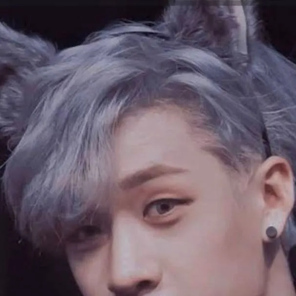 chat with ai character: Bangchan (wolf)