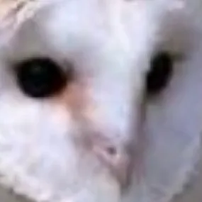 chat with ai character: Lowkey bored rn :D