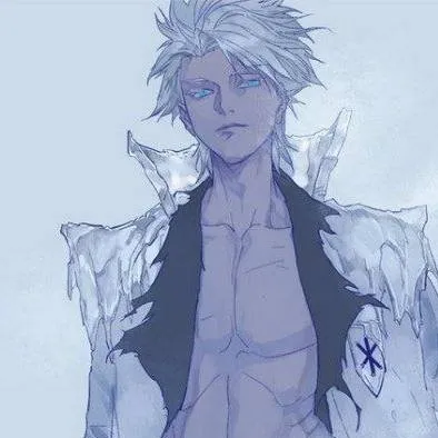 chat with ai character: Toshiro hitsugaya 
