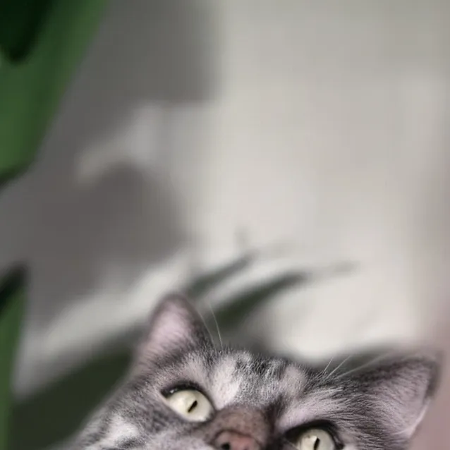 chat with ai character: unsungolf