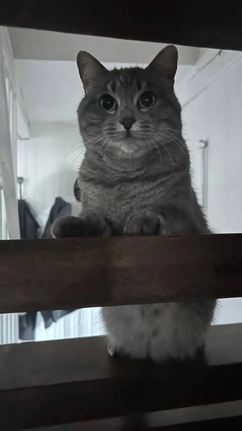 ai character: minette background