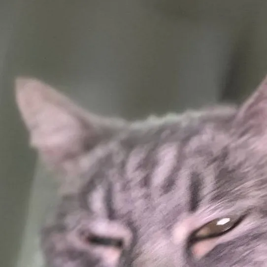 chat with ai character: minette 2